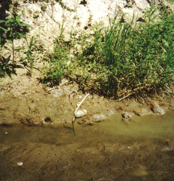 THREE QUARTER GROOVED AXE FOUND IN FALL CREEK