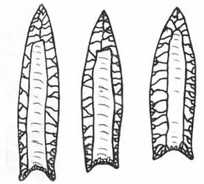 Illustration of Barnes Fluted points from the Thetford II Site, a Parkhill site in Ontario, Canada.