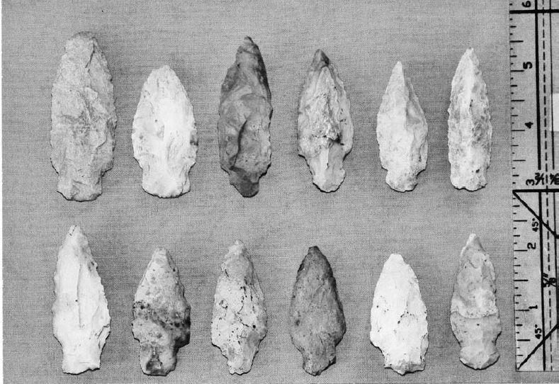 The Fox Site: A Central Ohio Valley Archaic Site in Southeast Indiana