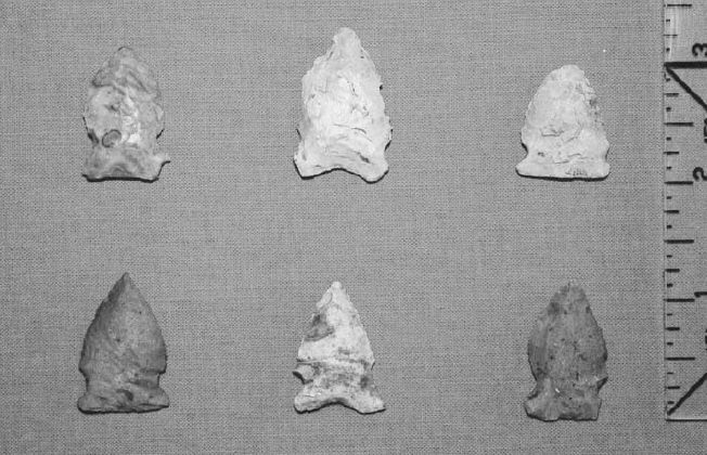 The Fox Site: A Central Ohio Valley Archaic Site in Southeast Indiana