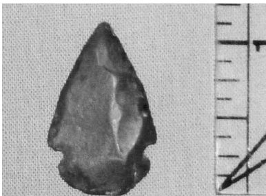The Fox Site: A Central Ohio Valley Archaic Site in Southeast Indiana