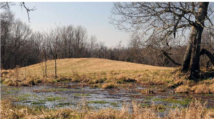 Central States Archaeological Societies :: The Link Farm (Duck River)  Cache: A Tennessee Treasure