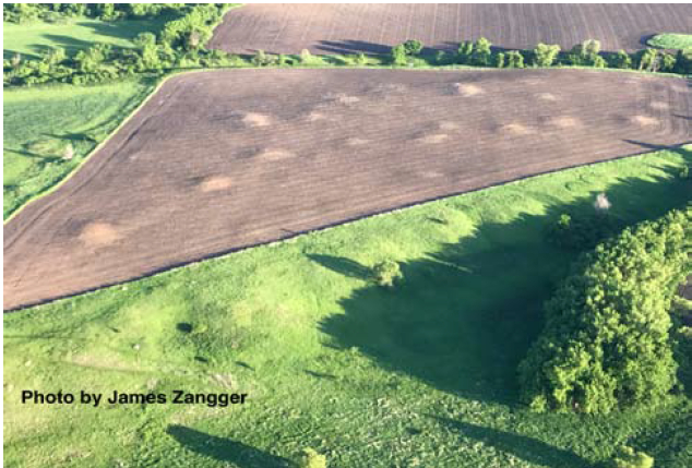 Protection of Mounds at Blood Run in Northwestern Iowa