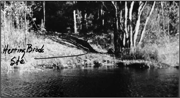 The Herring Brook Canoe Site