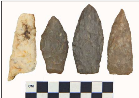 A Projectile Point Collection from the James River and Virgin Bluff Locale in Stone County, Missouri