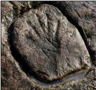 Petroglyphs of Southern Illinois and Southeastern Missouri