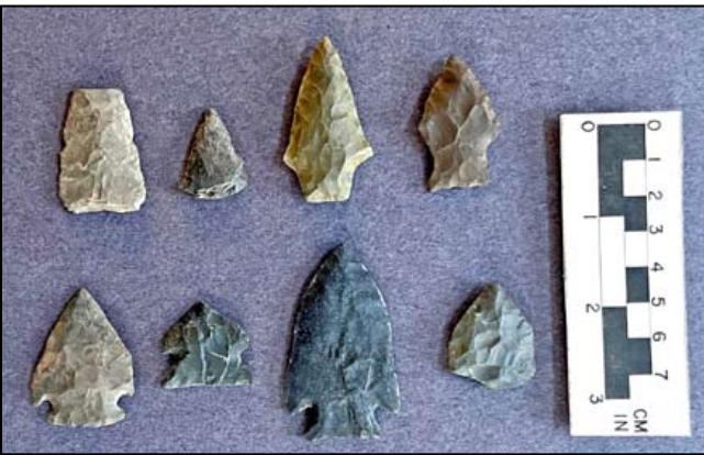 Some “Exotic” Lithics on Martha’s Vineyard