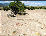 Tipi Rings as Prehistoric RV Parks