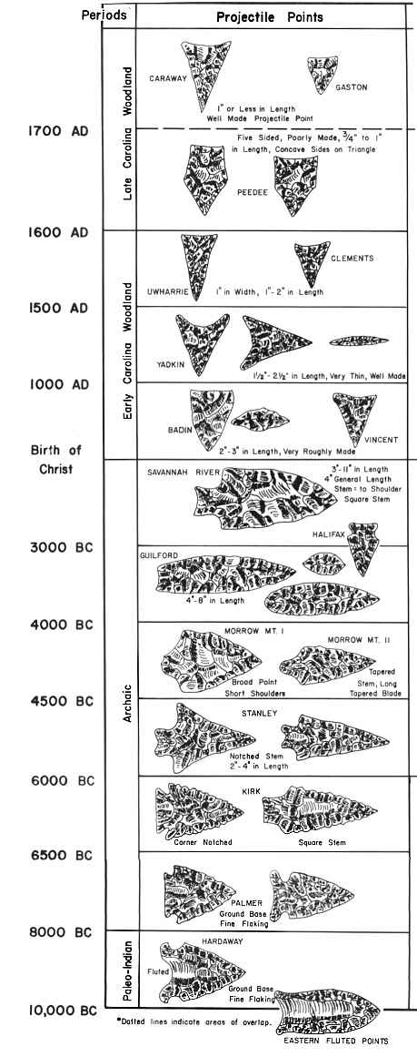 evolution.jpg (68065 bytes)